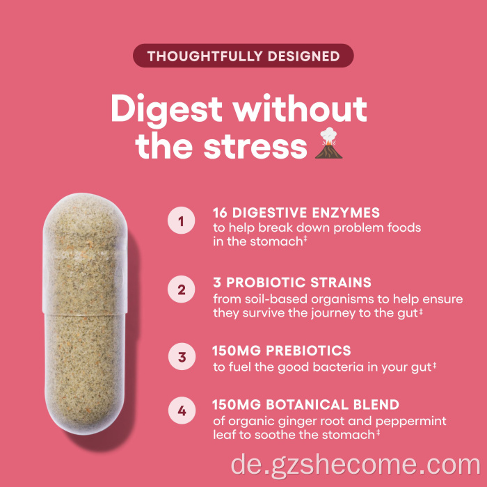 Organische Präbiotika -Probiotika -Kapseln für Verdauungsgesundheit